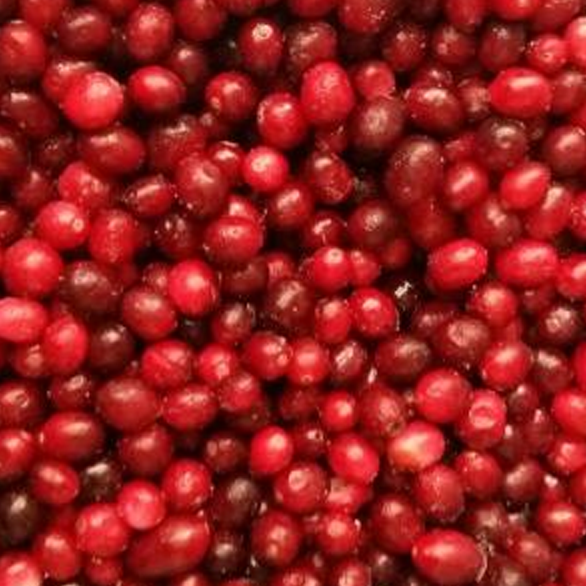 «KRASKI LETA» garden cranberry